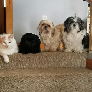 Meet your Posher, Vicki